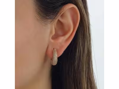 Boucles d'oreilles - Laiton plaqué or & zircons