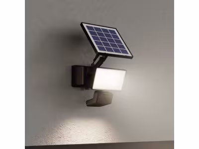 Projecteur solaire LED intégré à détection Davern 800lm IP65 noir GoodHome