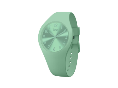Montre Ice Watch femme small silicone vert