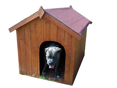 Niche pour gros chiens 1,17 m2