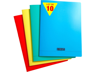  Lot de 10 Cahiers Agrafés (une Marque de Clairefontaine) - 24x32 cm - 48 Pages Petits Carreaux -