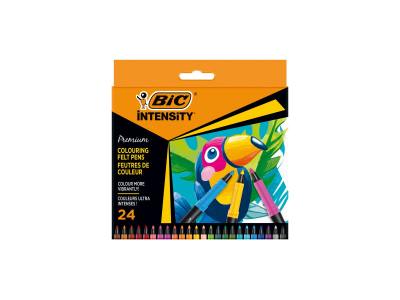 BIC 24 feutres de coloriage Intensity - Multicolore